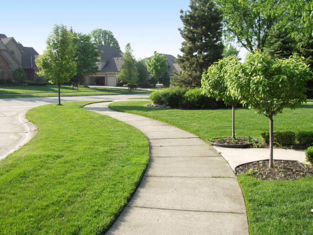 a sidewalk in a residential neighborhood at The Soltera Rolling Pines